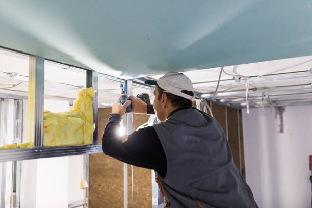 Best Spray Foam Insulation in Bayou Lourse, LA