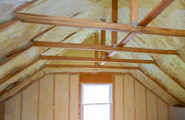 Best Blown-in Insulation in Bayou Lourse, LA