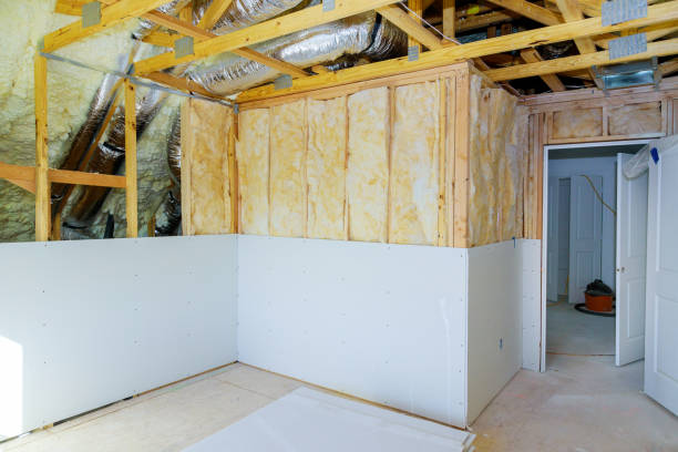 Best Energy Efficiency Insulation in Bayou Lourse, LA