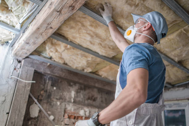 Best Insulation Maintenance and Repair in Bayou Lourse, LA