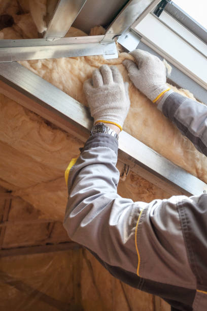 Best Insulation for Specific Applications in Bayou Lourse, LA
