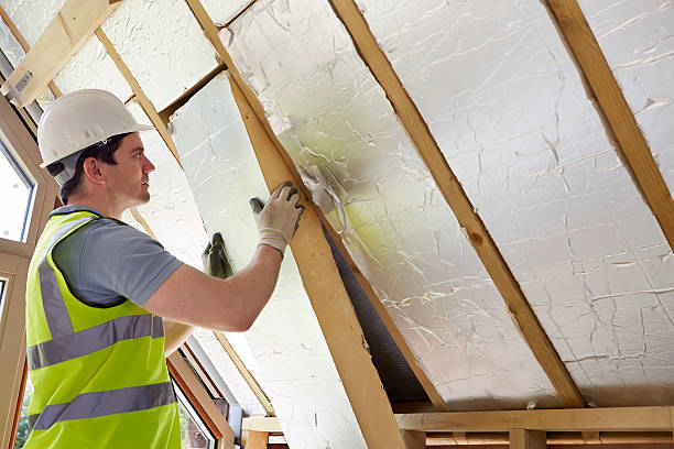 Best Commercial Insulation in Bayou Lourse, LA